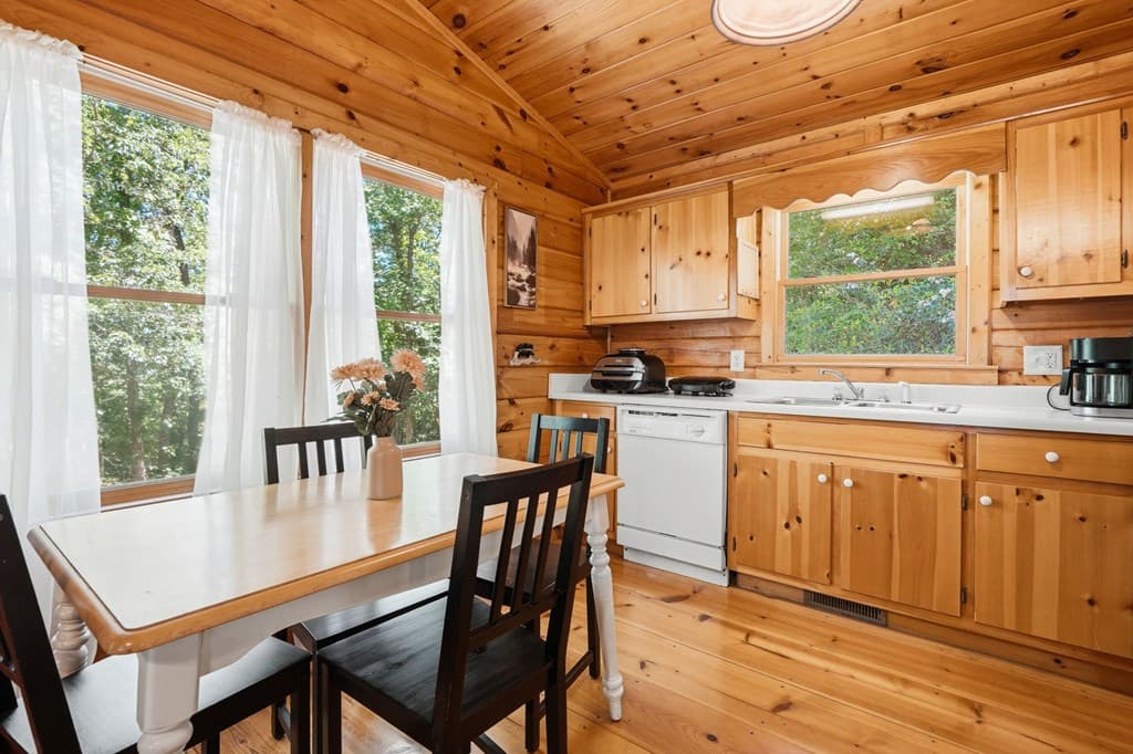 156 Dupont Drive, Blue Ridge GA 30513 - Photo