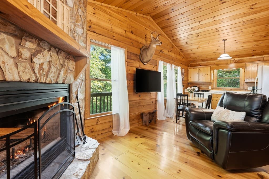 156 Dupont Drive, Blue Ridge GA 30513 - Photo