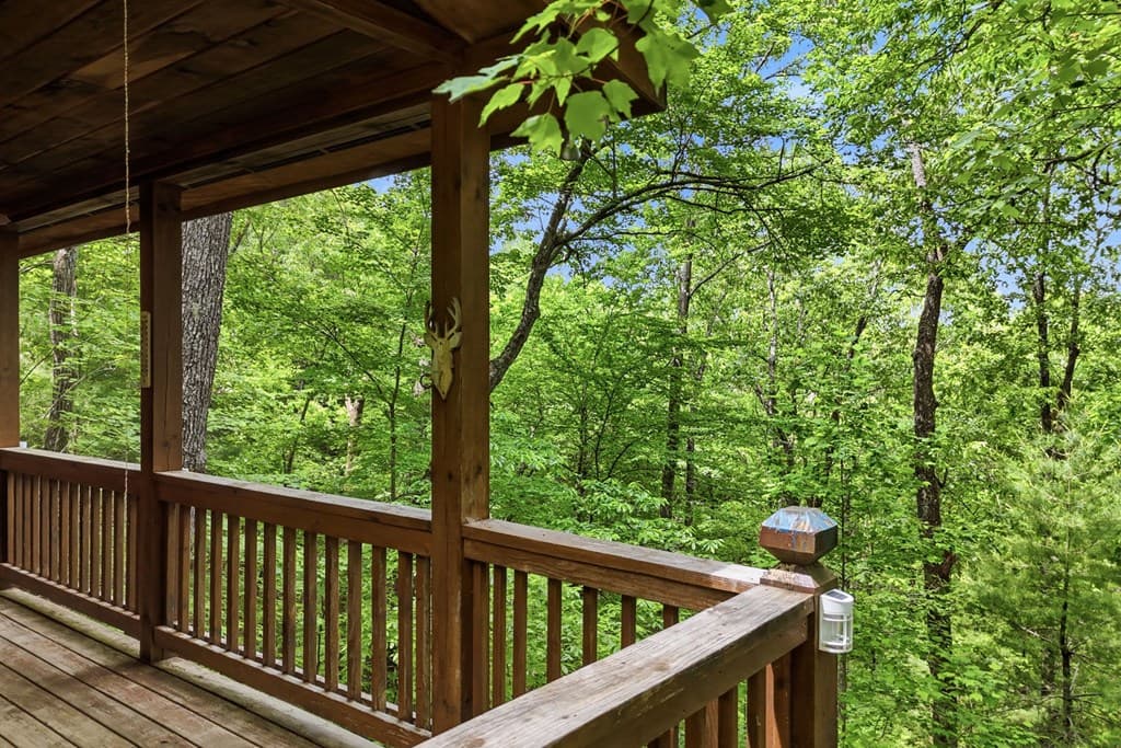 156 Dupont Drive, Blue Ridge GA 30513 - Photo