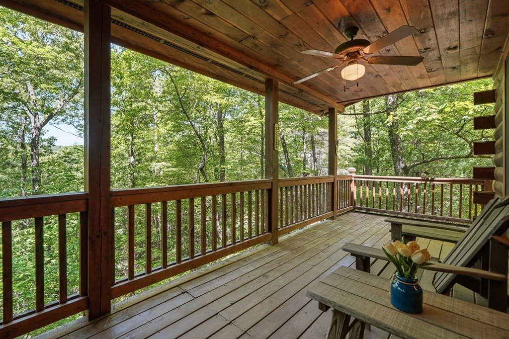 156 Dupont Drive, Blue Ridge GA 30513 - Photo