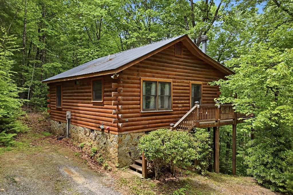 156 Dupont Drive, Blue Ridge GA 30513 - Photo