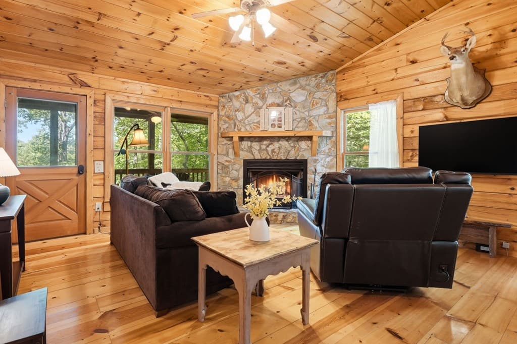 156 Dupont Drive, Blue Ridge GA 30513 - Photo