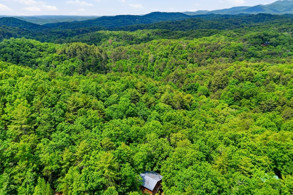 156 Dupont Drive, Blue Ridge GA 30513 - Photo