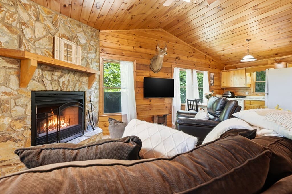 156 Dupont Drive, Blue Ridge GA 30513 - Photo
