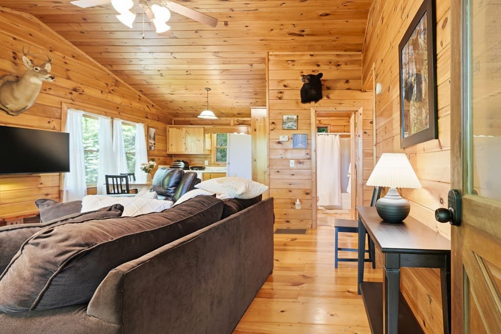 156 Dupont Drive, Blue Ridge GA 30513 - Photo