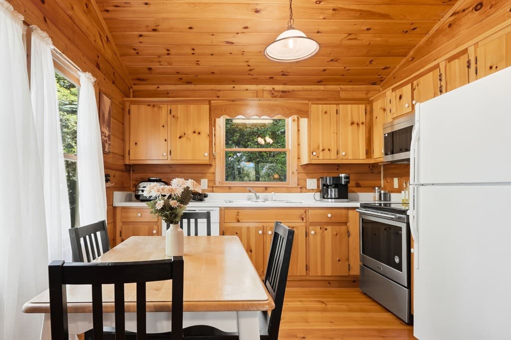 156 Dupont Drive, Blue Ridge GA 30513 - Photo