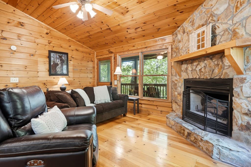 156 Dupont Drive, Blue Ridge GA 30513 - Photo