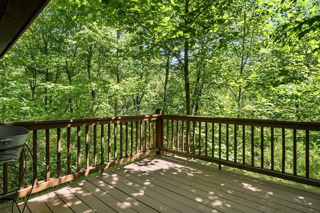 37 Dean Court, Blue Ridge GA 30513 - Photo