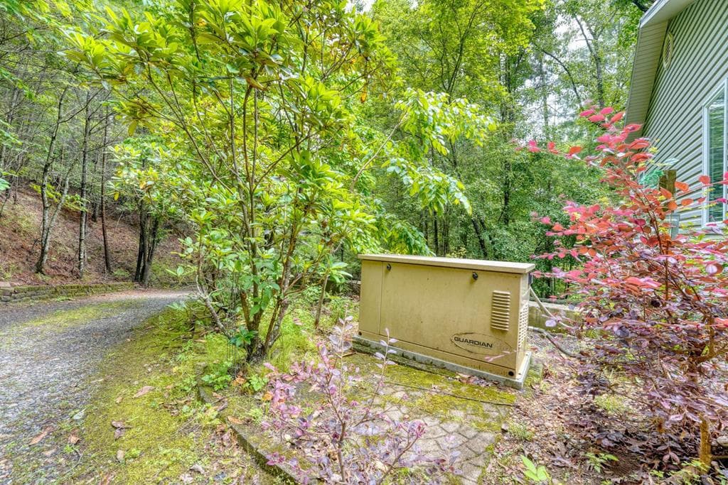 61 Amelia Lane, Blue Ridge GA 30513 - Photo