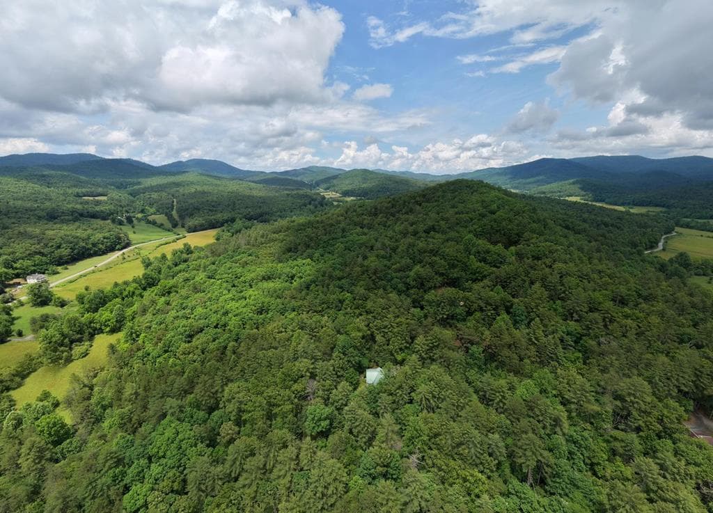 61 Amelia Lane, Blue Ridge GA 30513 - Photo