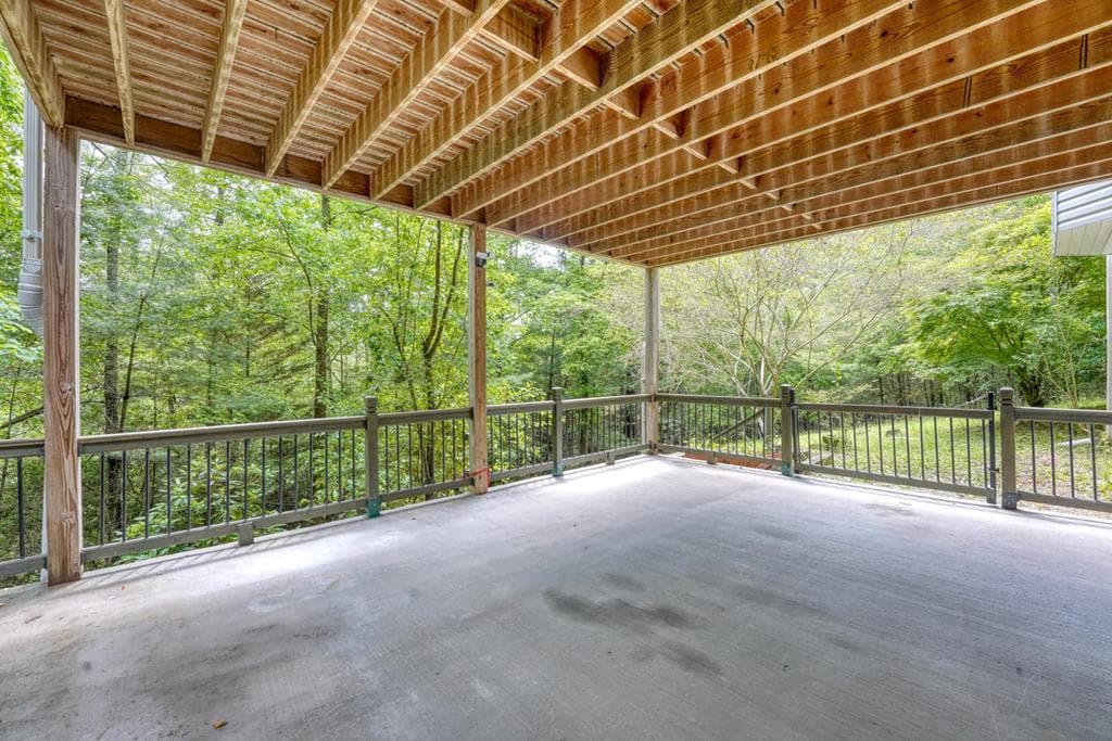 61 Amelia Lane, Blue Ridge GA 30513 - Photo
