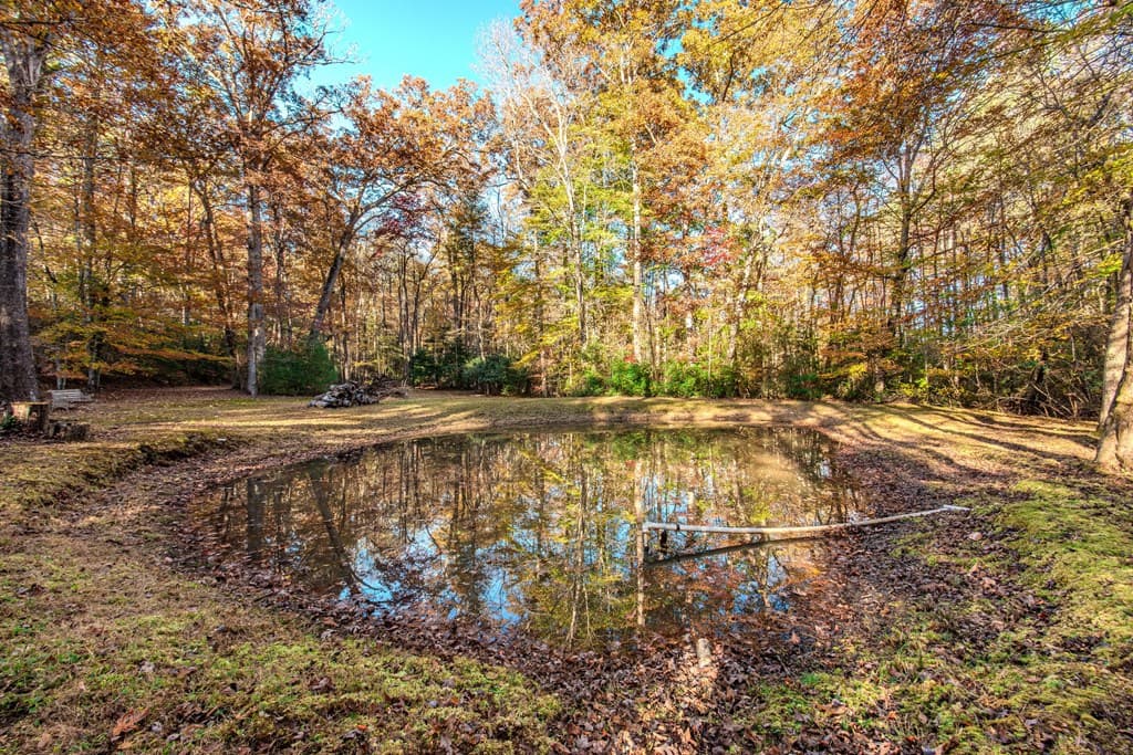 339 Wehunt Road, Blue Ridge GA 30513 - Photo