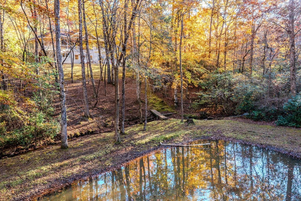 339 Wehunt Road, Blue Ridge GA 30513 - Photo