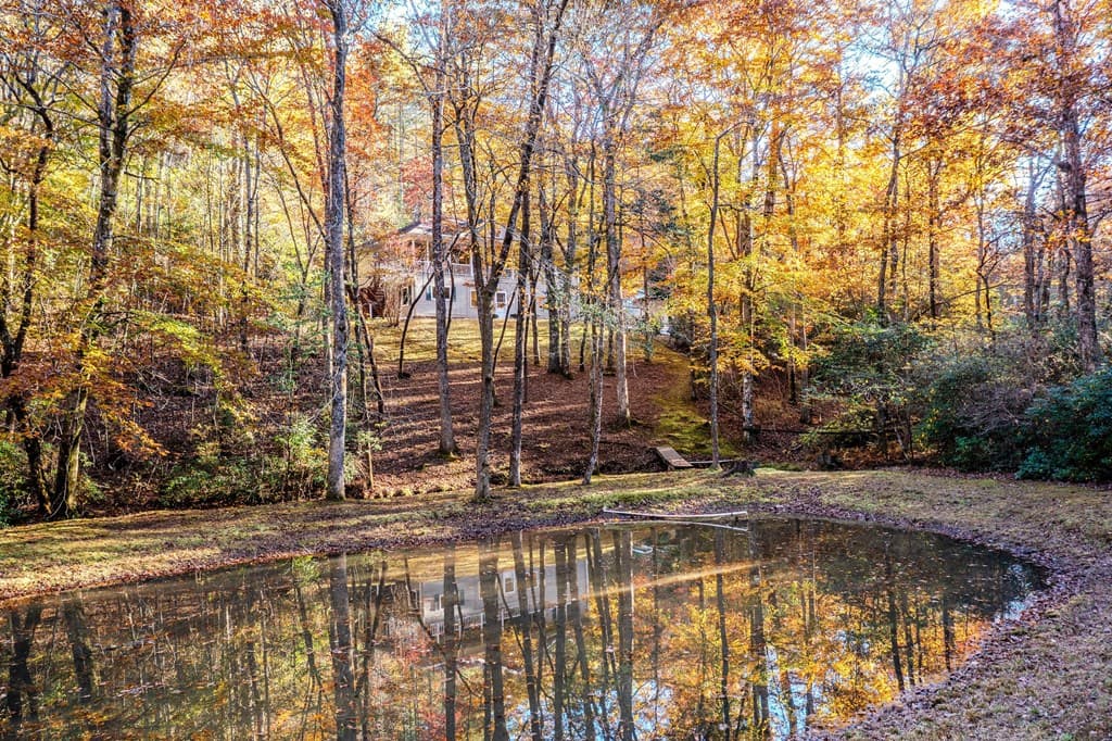 339 Wehunt Road, Blue Ridge GA 30513 - Photo