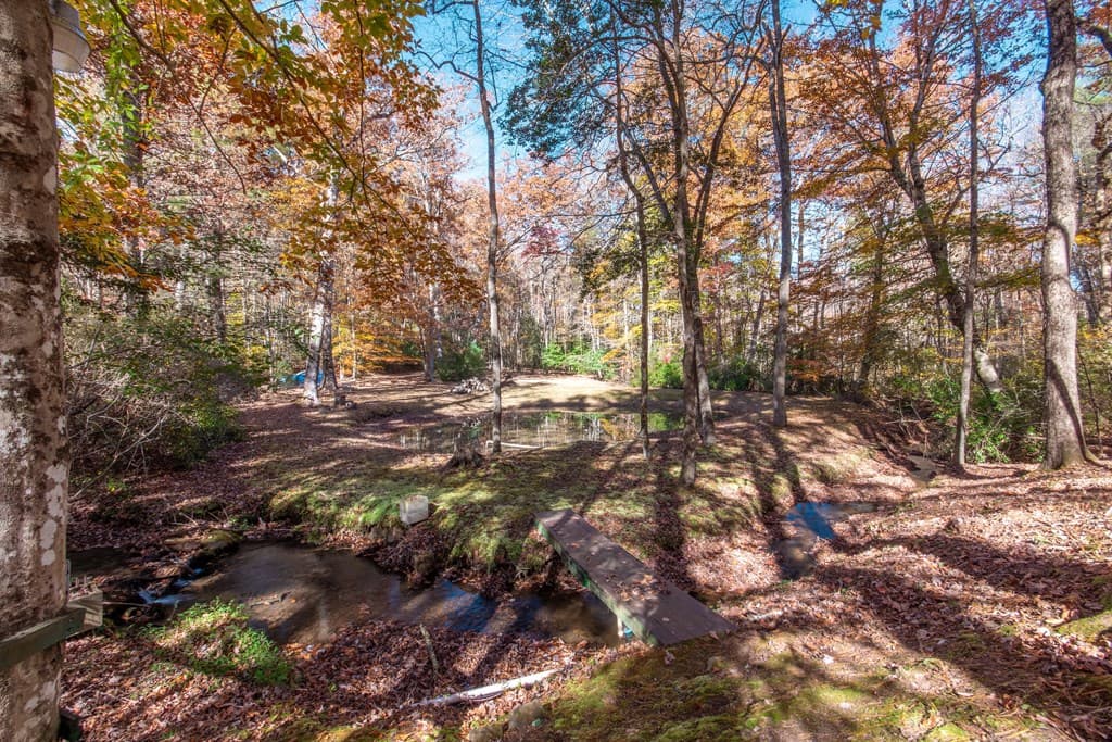 339 Wehunt Road, Blue Ridge GA 30513 - Photo
