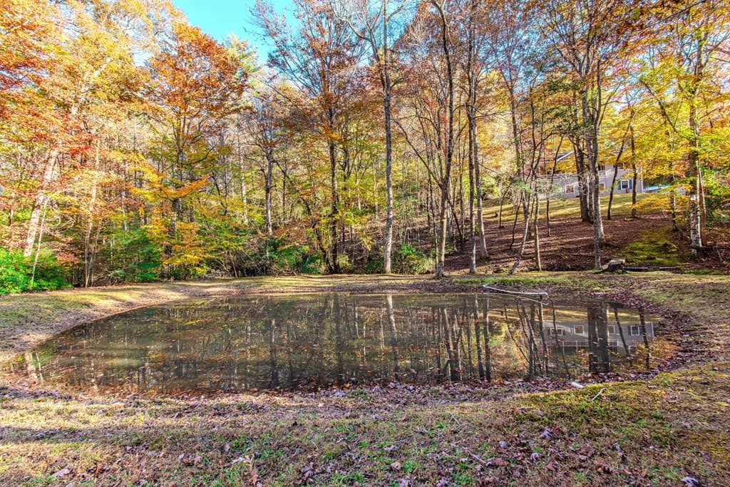 339 Wehunt Road, Blue Ridge GA 30513 - Photo
