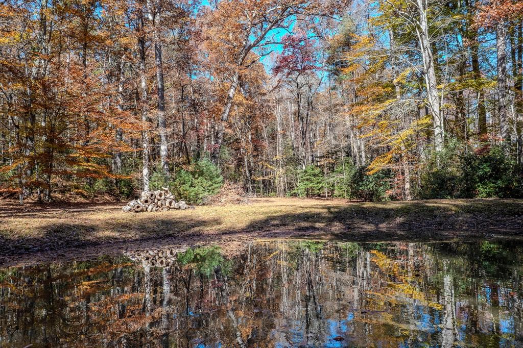 339 Wehunt Road, Blue Ridge GA 30513 - Photo