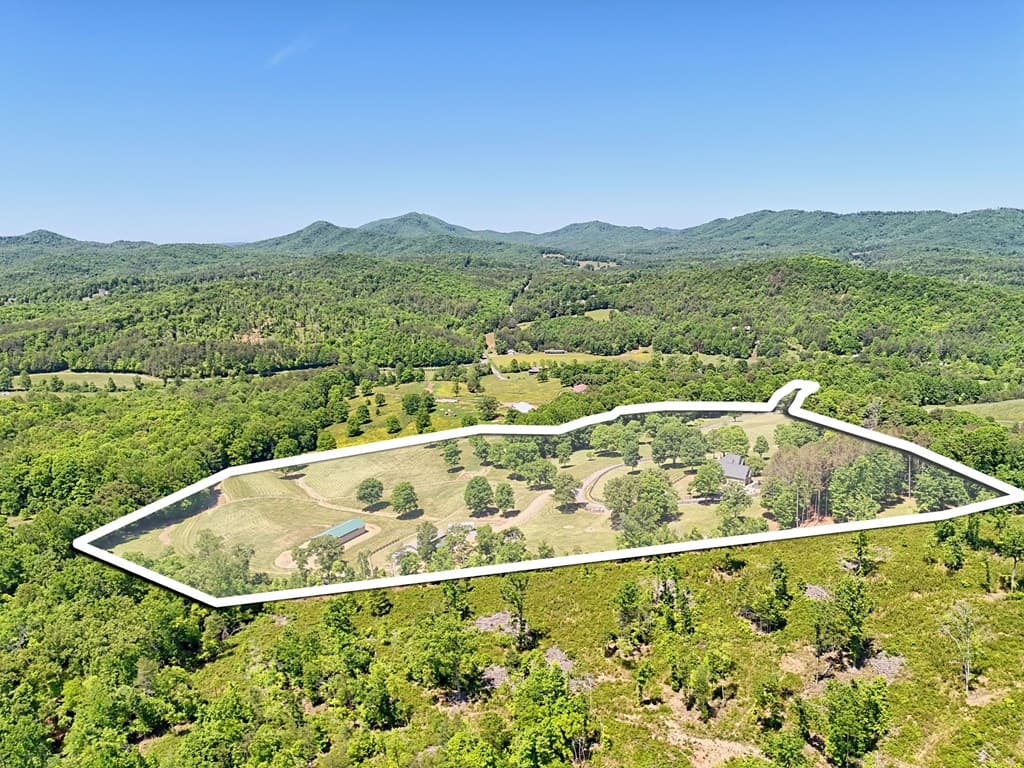 1193 Pine Log Road, Warne NC 28909 - Photo