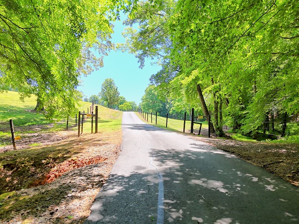 1193 Pine Log Road, Warne NC 28909 - Photo