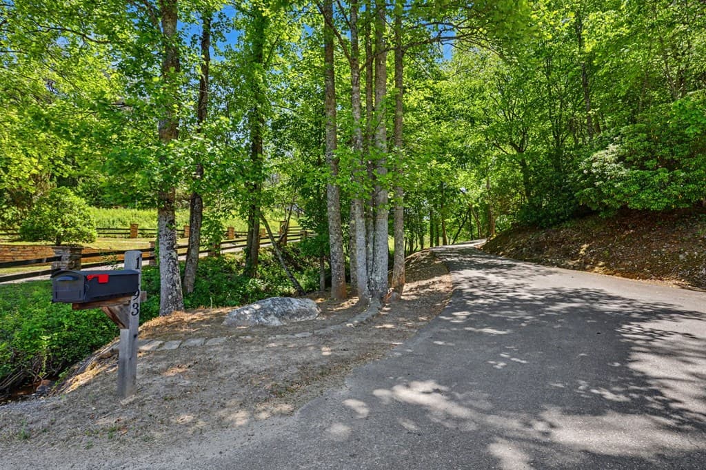 1193 Pine Log Road, Warne NC 28909 - Photo