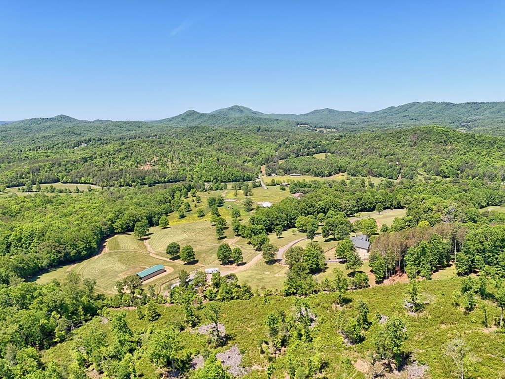 1193 Pine Log Road, Warne NC 28909 - Photo
