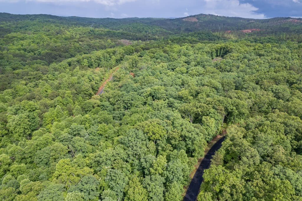 Lot 150 Tranquility @ Carters Lake, Ellijay GA 30540 - Photo