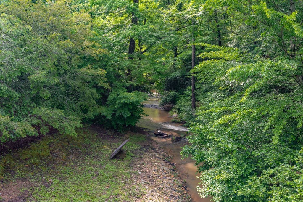 Lot 150 Tranquility @ Carters Lake, Ellijay GA 30540 - Photo