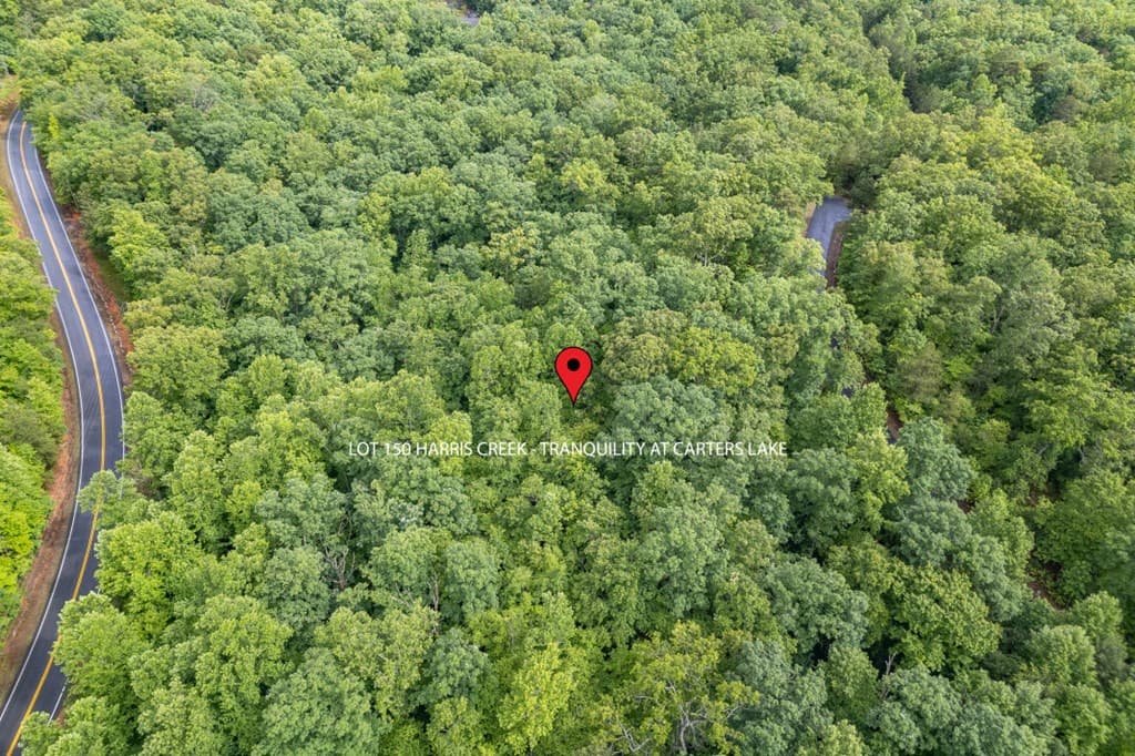 Lot 150 Tranquility @ Carters Lake, Ellijay GA 30540 - Photo