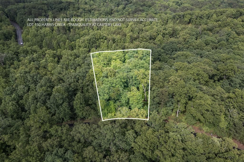 Lot 150 Tranquility @ Carters Lake, Ellijay GA 30540 - Primary photo