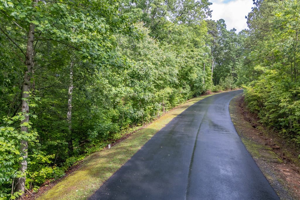 Lot 150 Tranquility @ Carters Lake, Ellijay GA 30540 - Photo