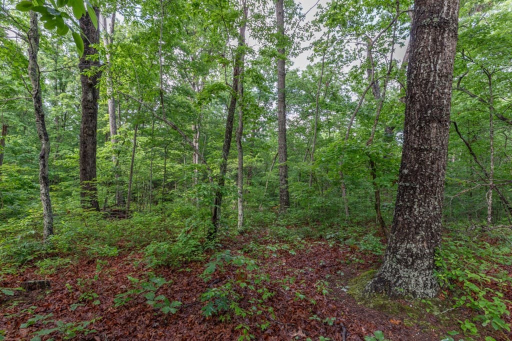 Lot 150 Tranquility @ Carters Lake, Ellijay GA 30540 - Photo