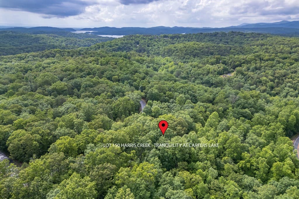 Lot 150 Tranquility @ Carters Lake, Ellijay GA 30540 - Photo