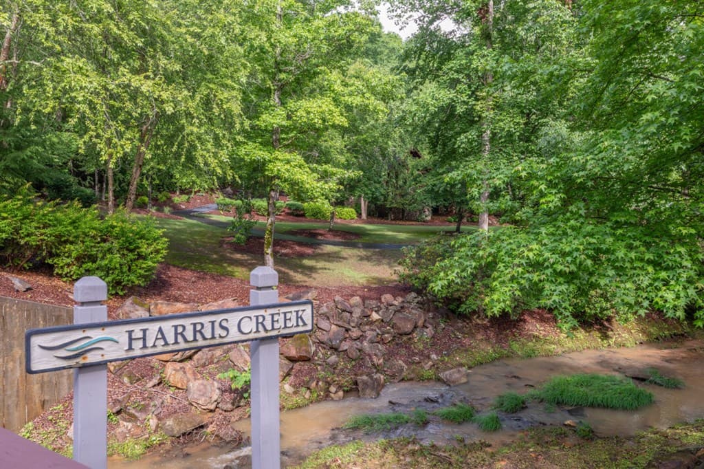 Lot 150 Tranquility @ Carters Lake, Ellijay GA 30540 - Photo