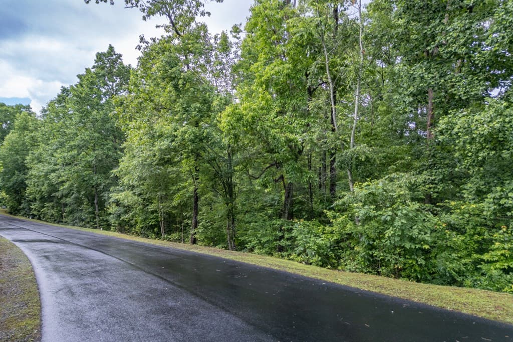 Lot 150 Tranquility @ Carters Lake, Ellijay GA 30540 - Photo