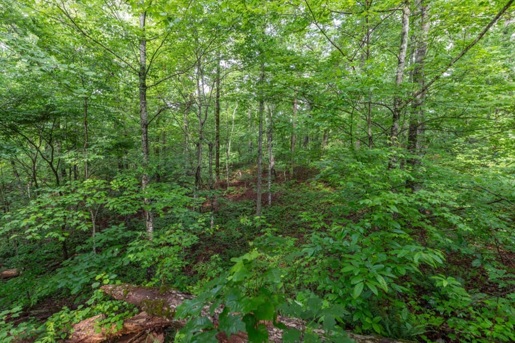 Lot 150 Tranquility @ Carters Lake, Ellijay GA 30540 - Photo