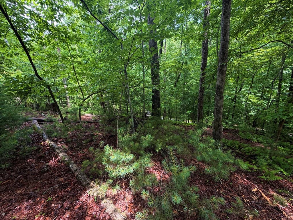 LT 144 Alcan Way, Ellijay GA 30450 - Photo