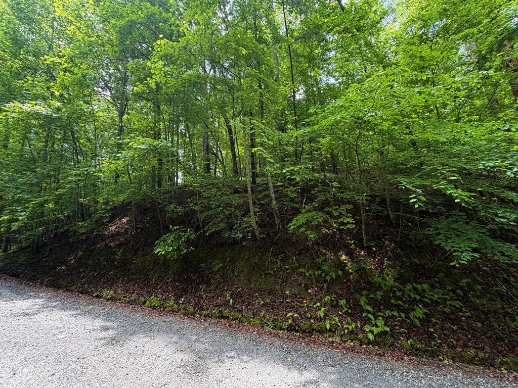 LT 144 Alcan Way, Ellijay GA 30450 - Photo