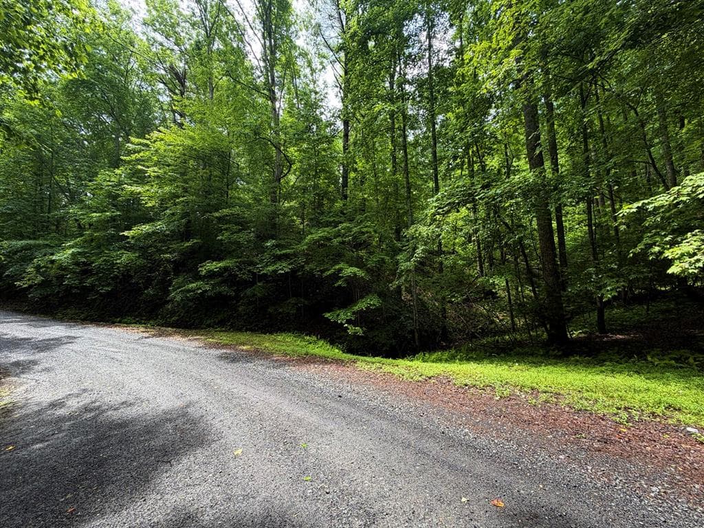 LT 144 Alcan Way, Ellijay GA 30450 - Primary photo