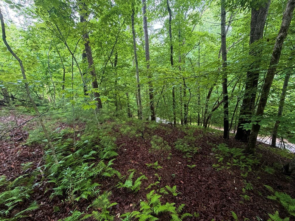 LT 144 Alcan Way, Ellijay GA 30450 - Photo