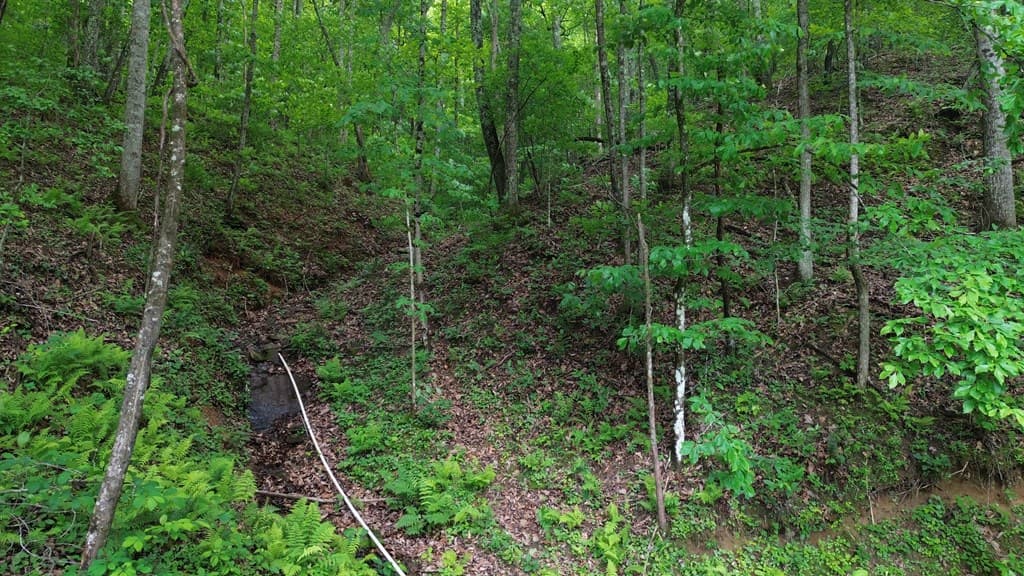 115 Calvender Road, Turtletown TN 37391 - Photo