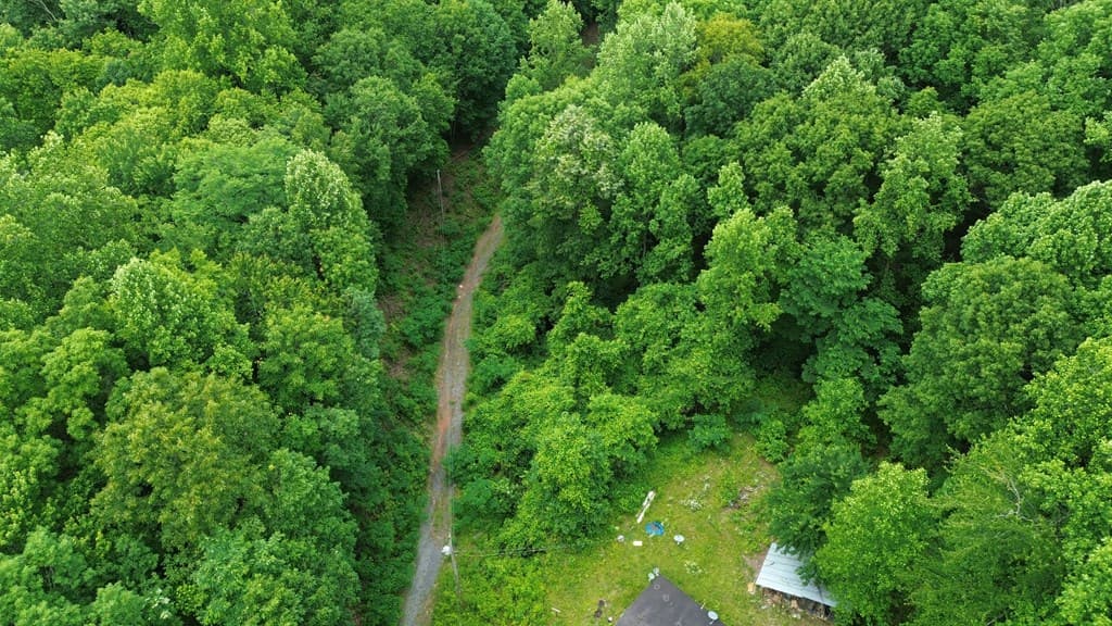 115 Calvender Road, Turtletown TN 37391 - Photo