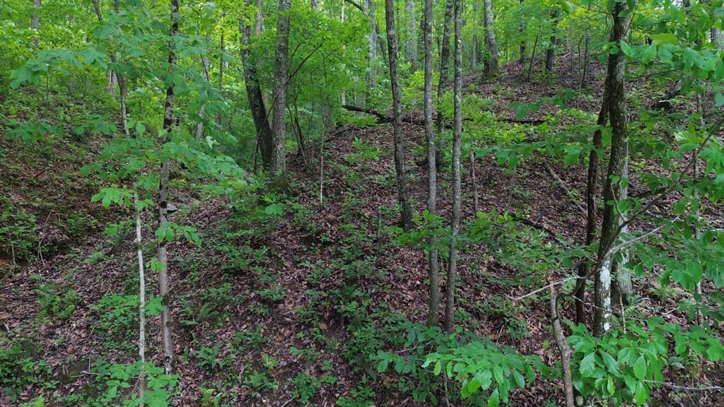115 Calvender Road, Turtletown TN 37391 - Photo