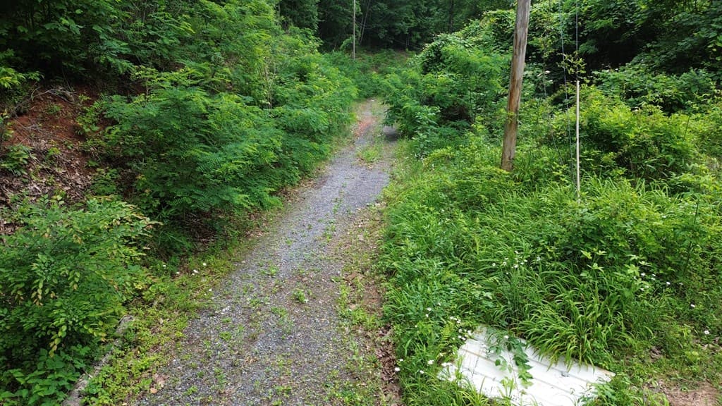 115 Calvender Road, Turtletown TN 37391 - Photo