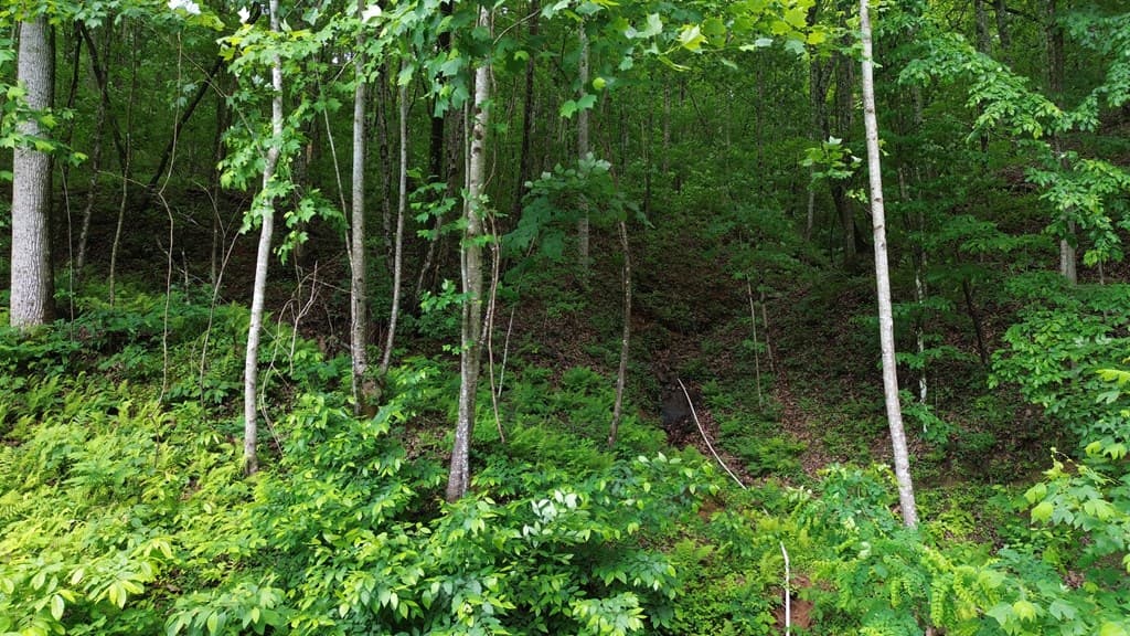 115 Calvender Road, Turtletown TN 37391 - Photo