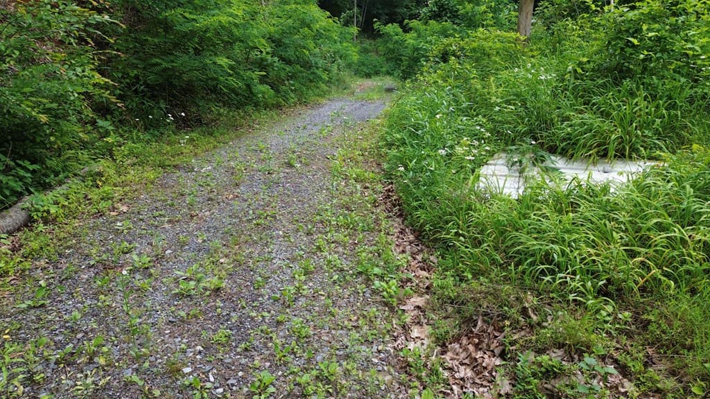 115 Calvender Road, Turtletown TN 37391 - Photo