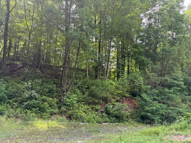 115 Calvender Road, Turtletown TN 37391 - Photo