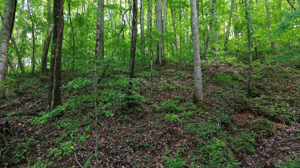 115 Calvender Road, Turtletown TN 37391 - Photo