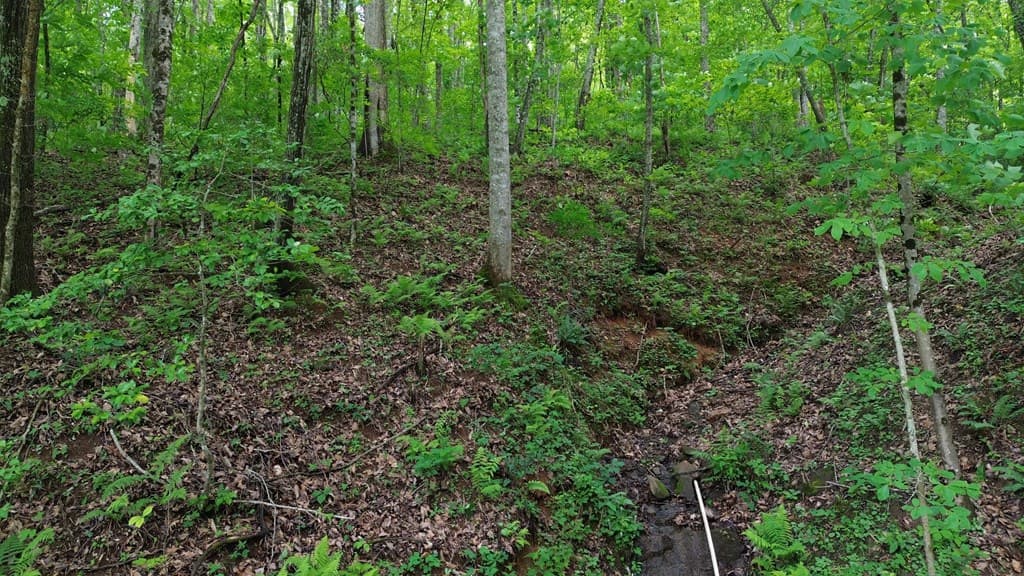 115 Calvender Road, Turtletown TN 37391 - Photo