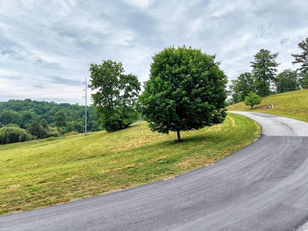 lot 18 Riverside Lk Nottely, Blairsville GA 30512 - Primary photo