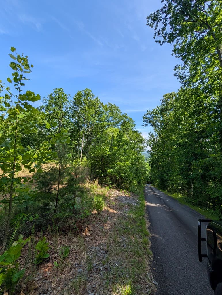 TR 2 Falcon Overlook, Hayesville NC 28904 - Photo